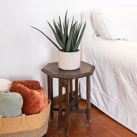 Barchetta Loft